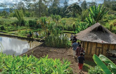 Aquaculture in Papua New Guinea .